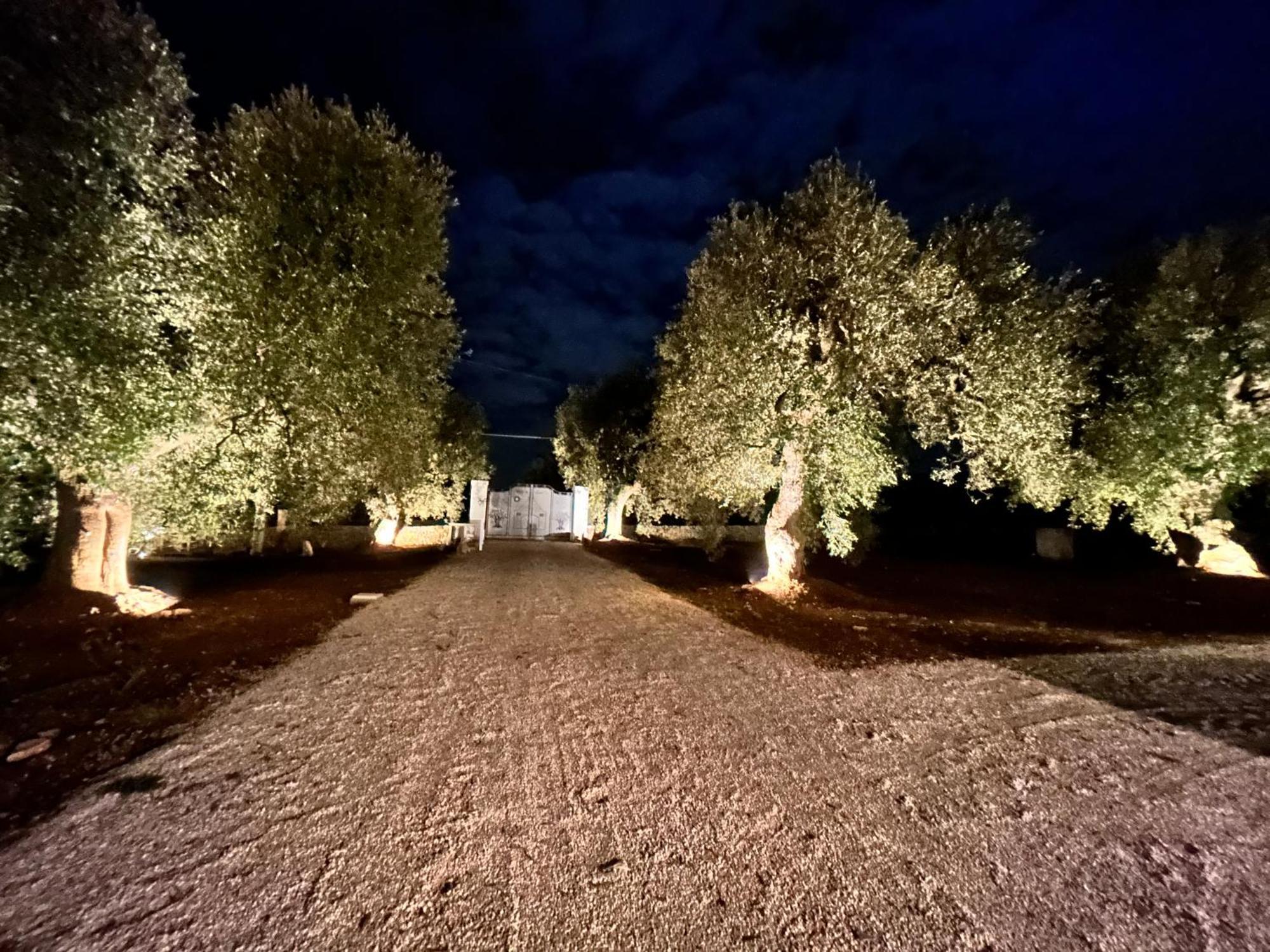 Bed and Breakfast Il Trullo Di Bina Pezze Di Greco Exterior foto